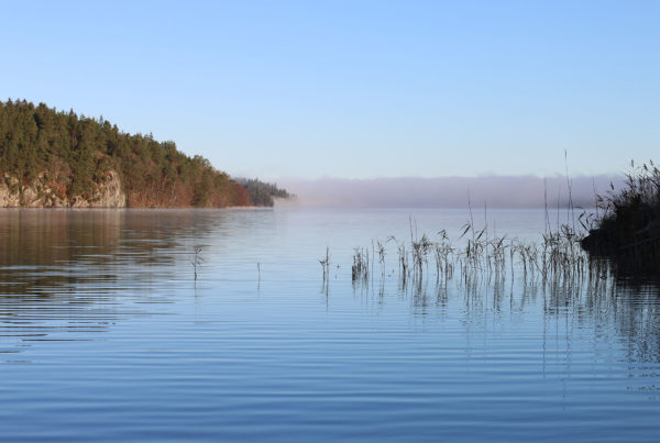 knitalongnaas